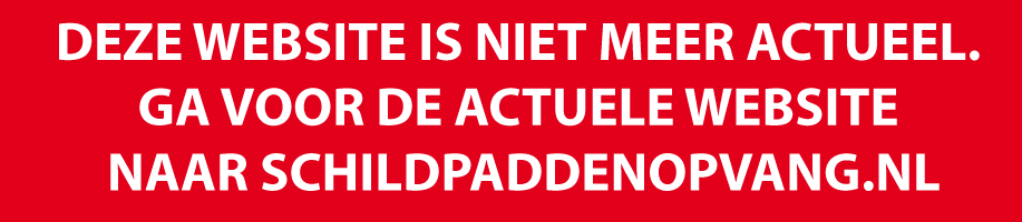 DEZE WEBSITE IS NIET MEER ACTUEEL. GA VOOR DE ACTUELE WEBSITE NAAR SCHILDPADDENOPVANG.NL